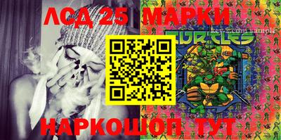 крисы Моздок