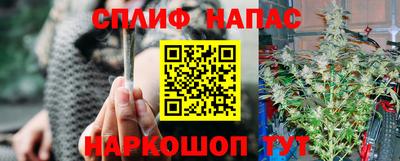 крисы Моздок