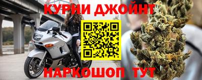 крисы Моздок