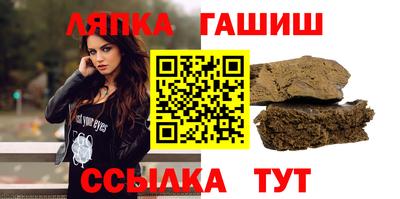 крисы Моздок