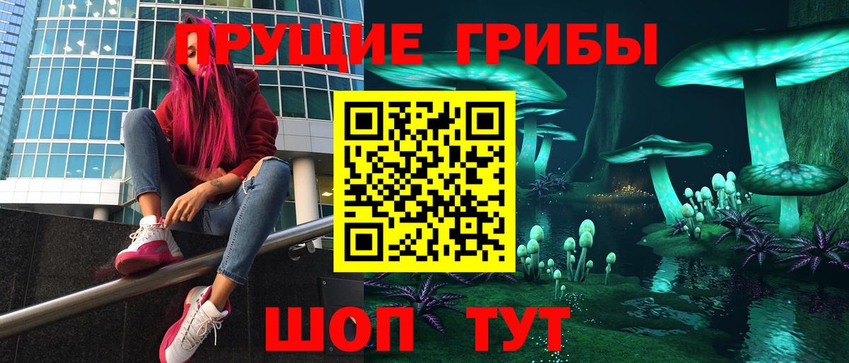 Чистополь  Галлюциногенные грибы Magic Shrooms  Вход с VPN 