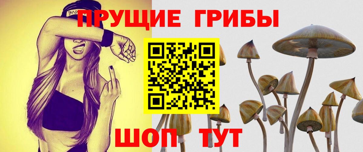 МДМА  ГАШИШ  МЕФ кристаллы  А ПВП СК кристаллы  Вход с VPN  КОКАИН  Чистополь  ГАШИШ 